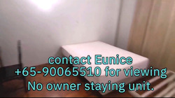 Pandan Valley (D21), Condominium #444175281